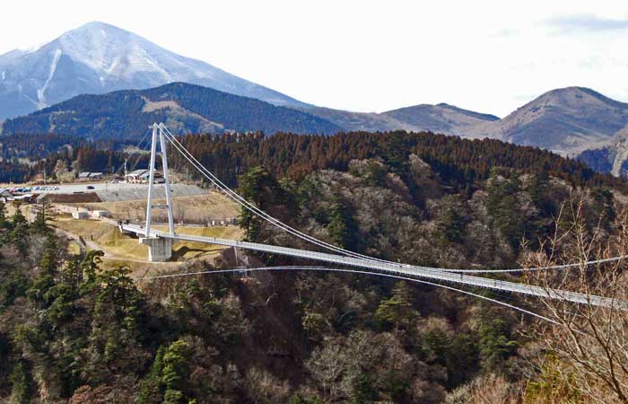 ��d����݋�