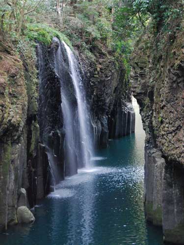 �^����̑�